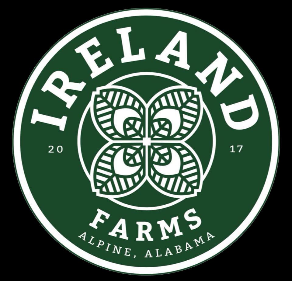 Ireland Organic Farms photo 2