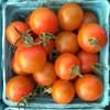 Iron Creek Organic Farm