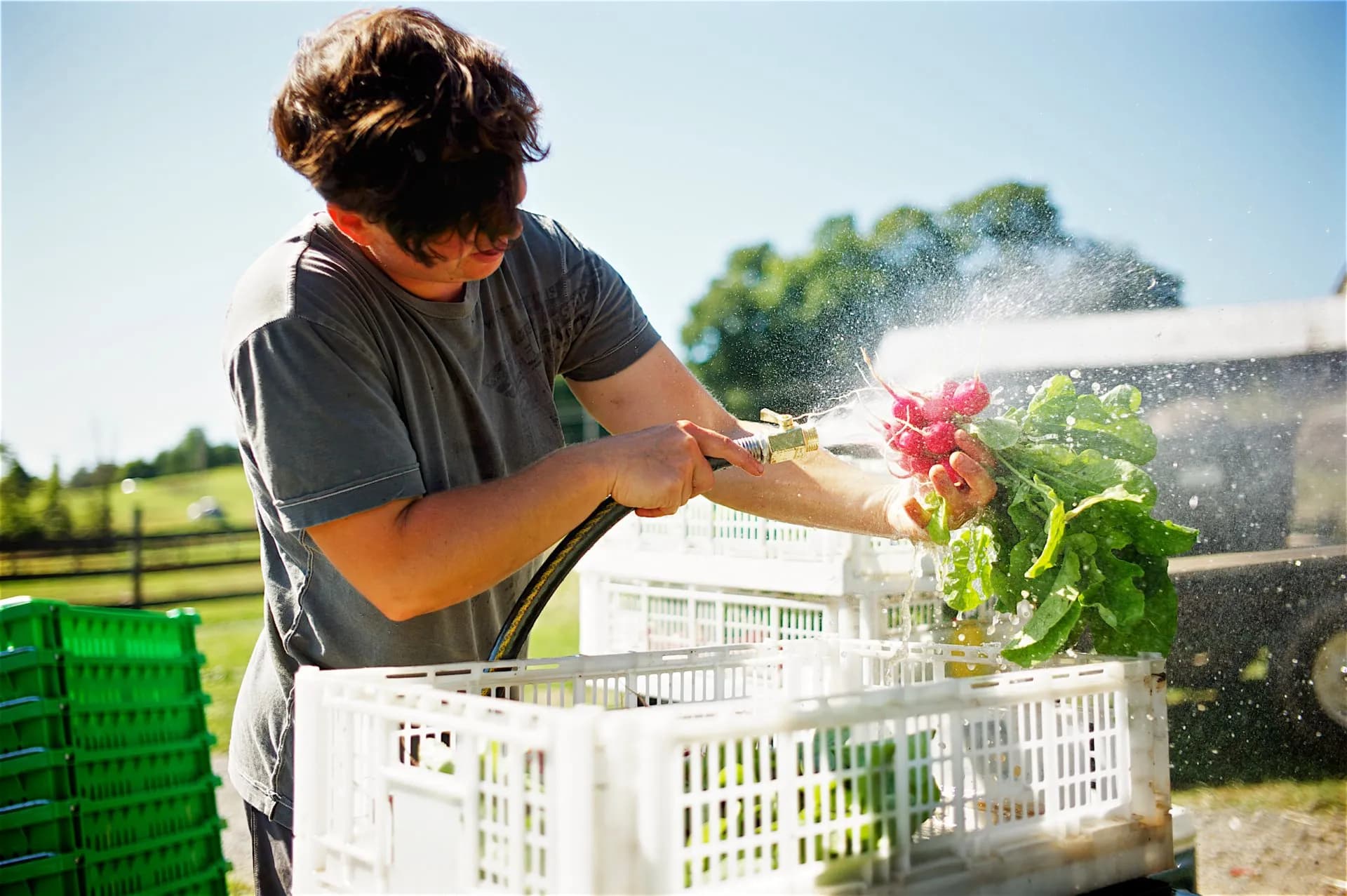 Ironwood Farm photo 2
