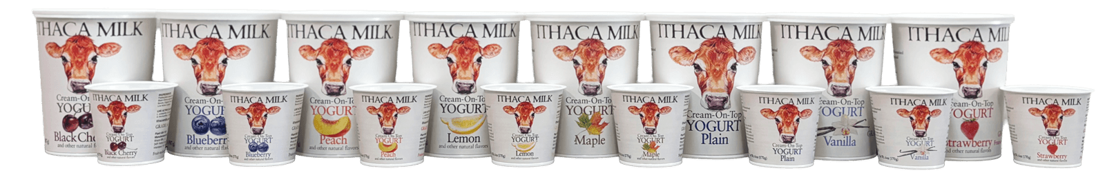 Ithaca Milk photo 2