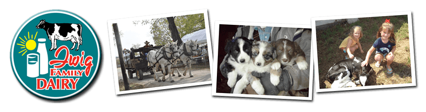 Iwig Family Dairy