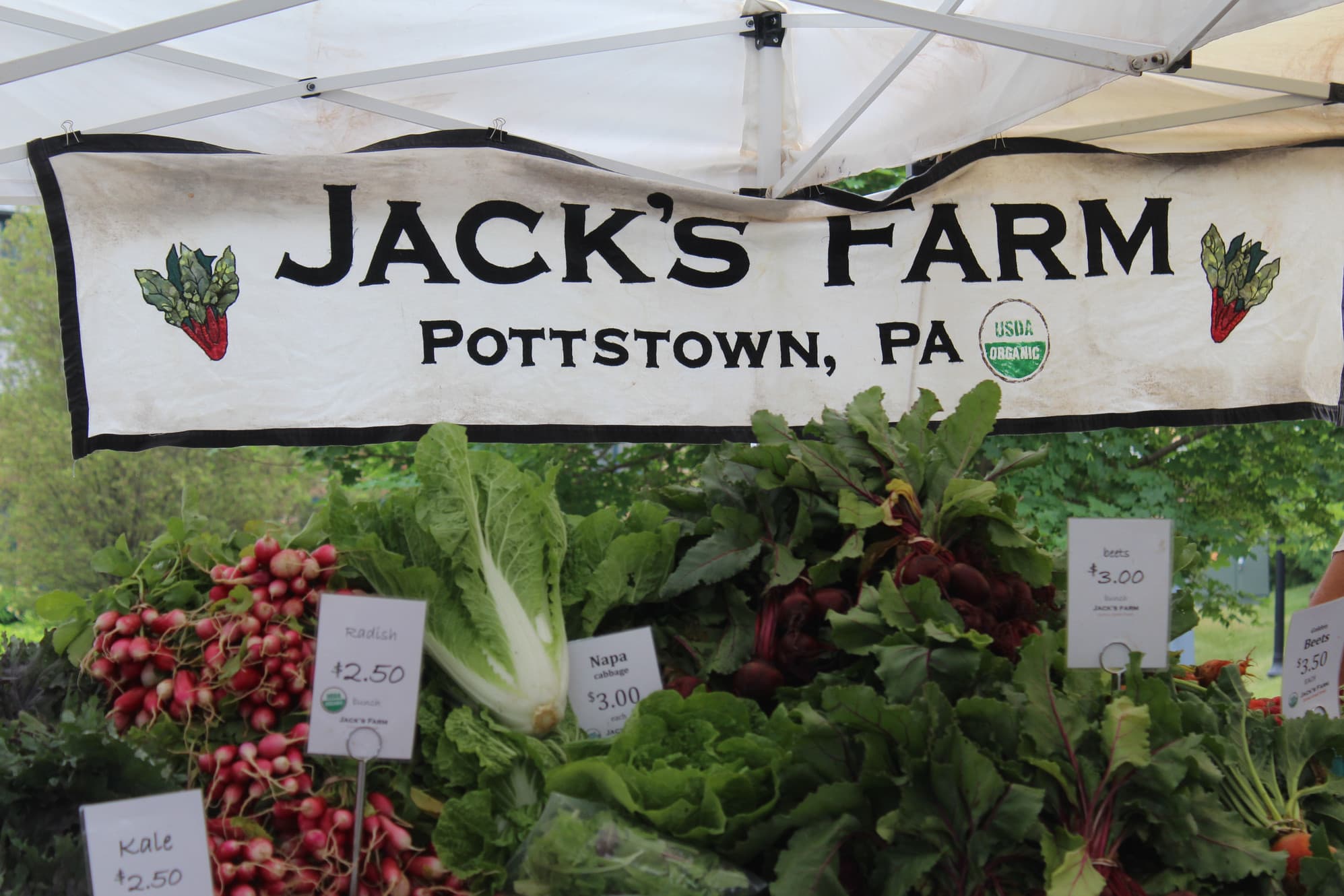 Jacks Farm photo 2