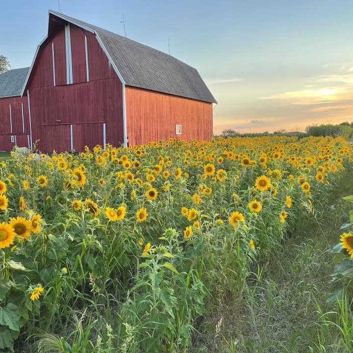 Jacob's Fresh Farm photo 2
