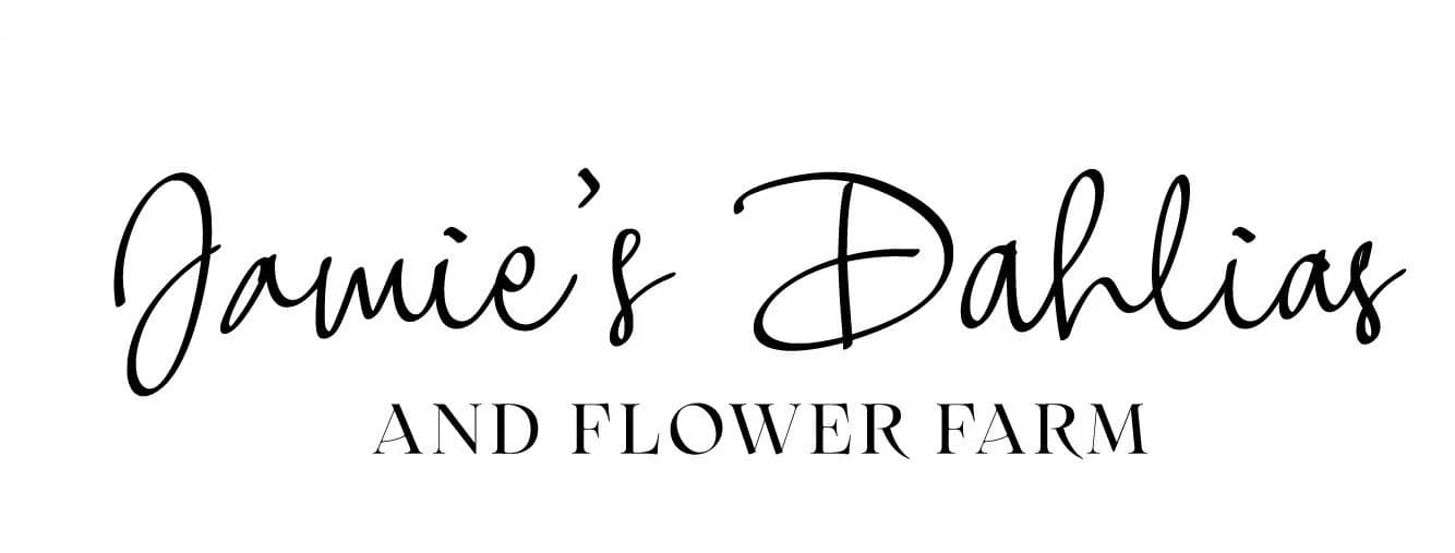 Jamie's Dahlias and Flower Farm photo 2