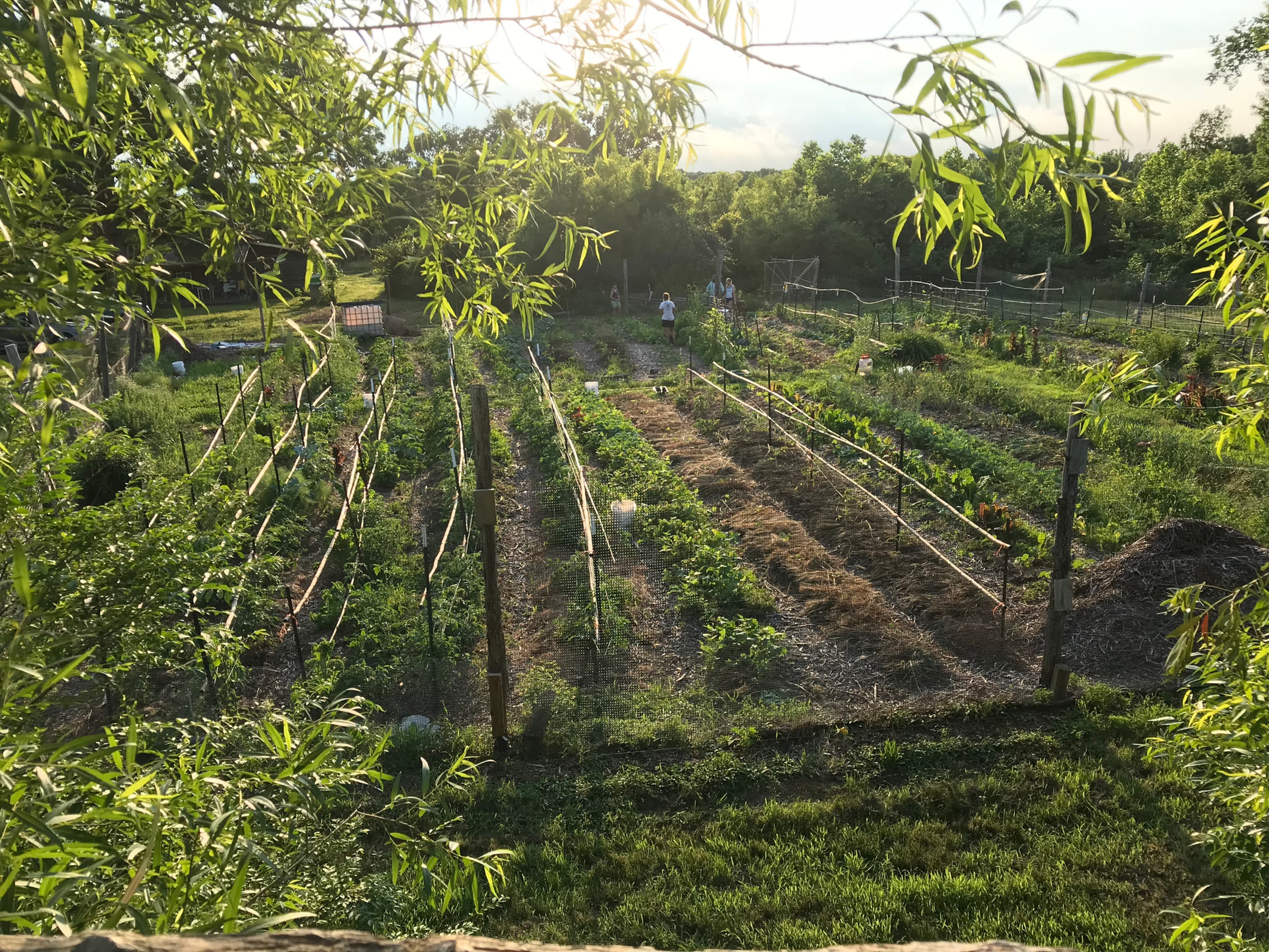 Jimmy Acres Farmstand