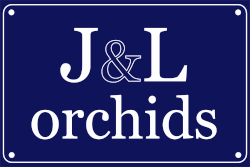 J&L Orchids photo 2