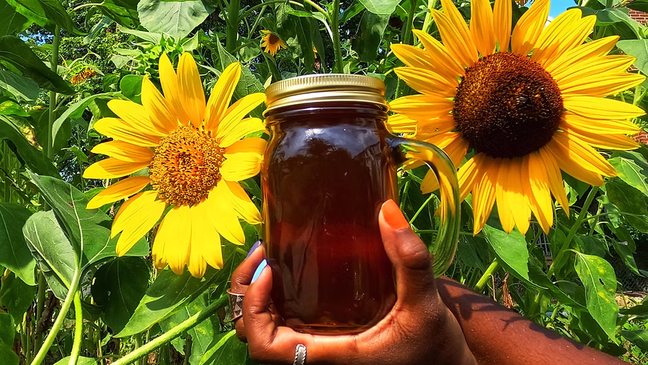 John Newman Honeybee Co.