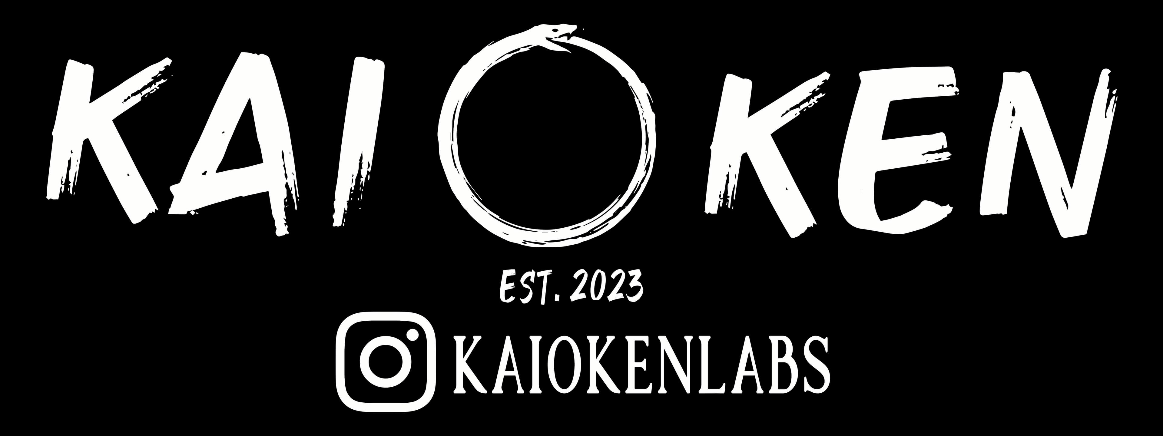 Kaioken Labs photo 2