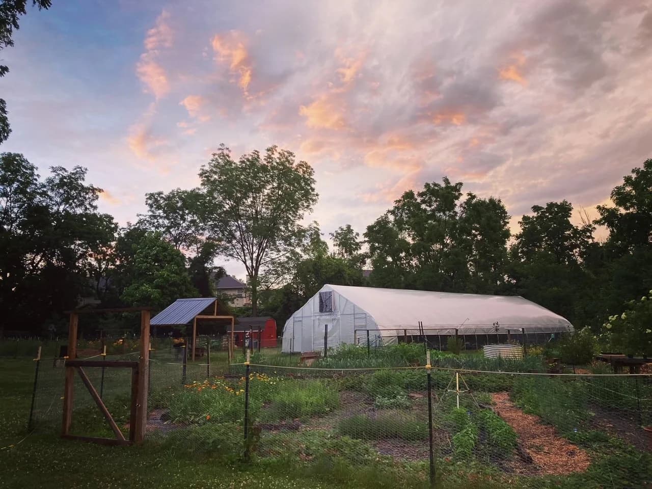 KayLeo Urban Farm
