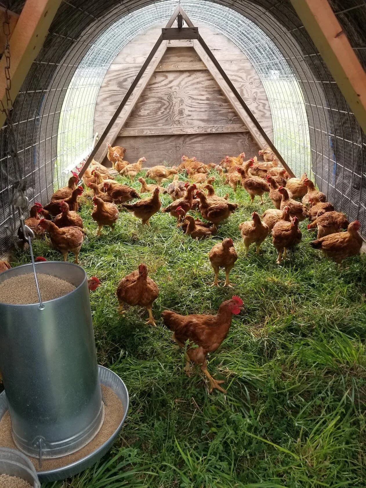 KDE Farms photo 2