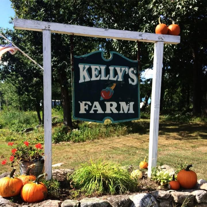 Kelly's Farm photo 2
