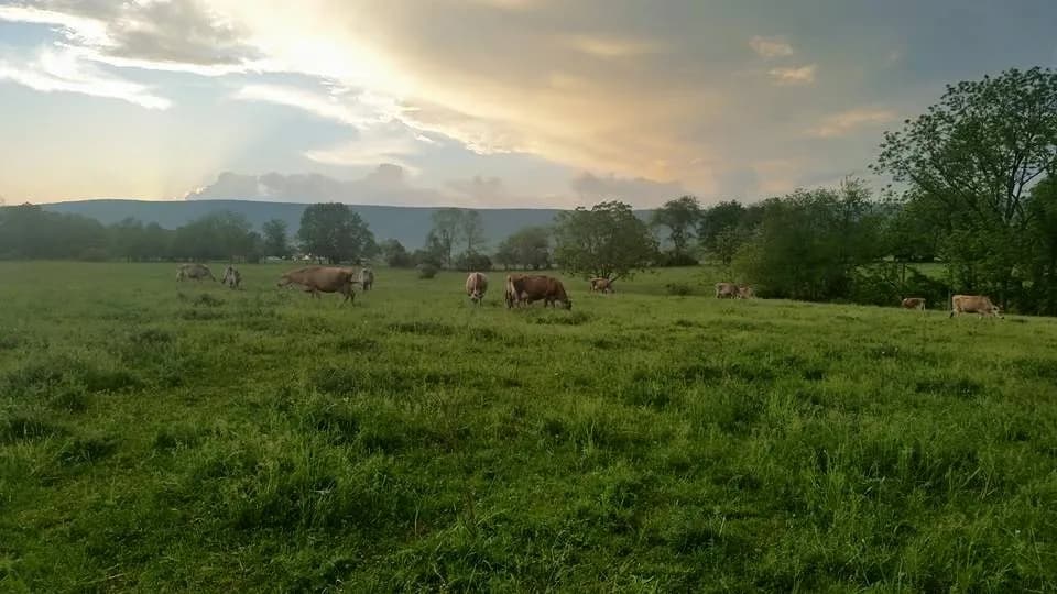 Keswick Creamery at Carrock Farm