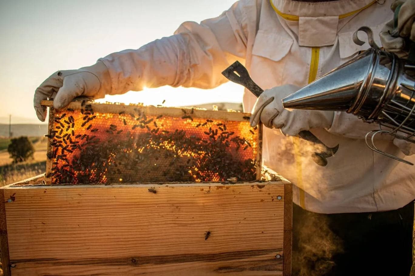 Kilted Bee Farms