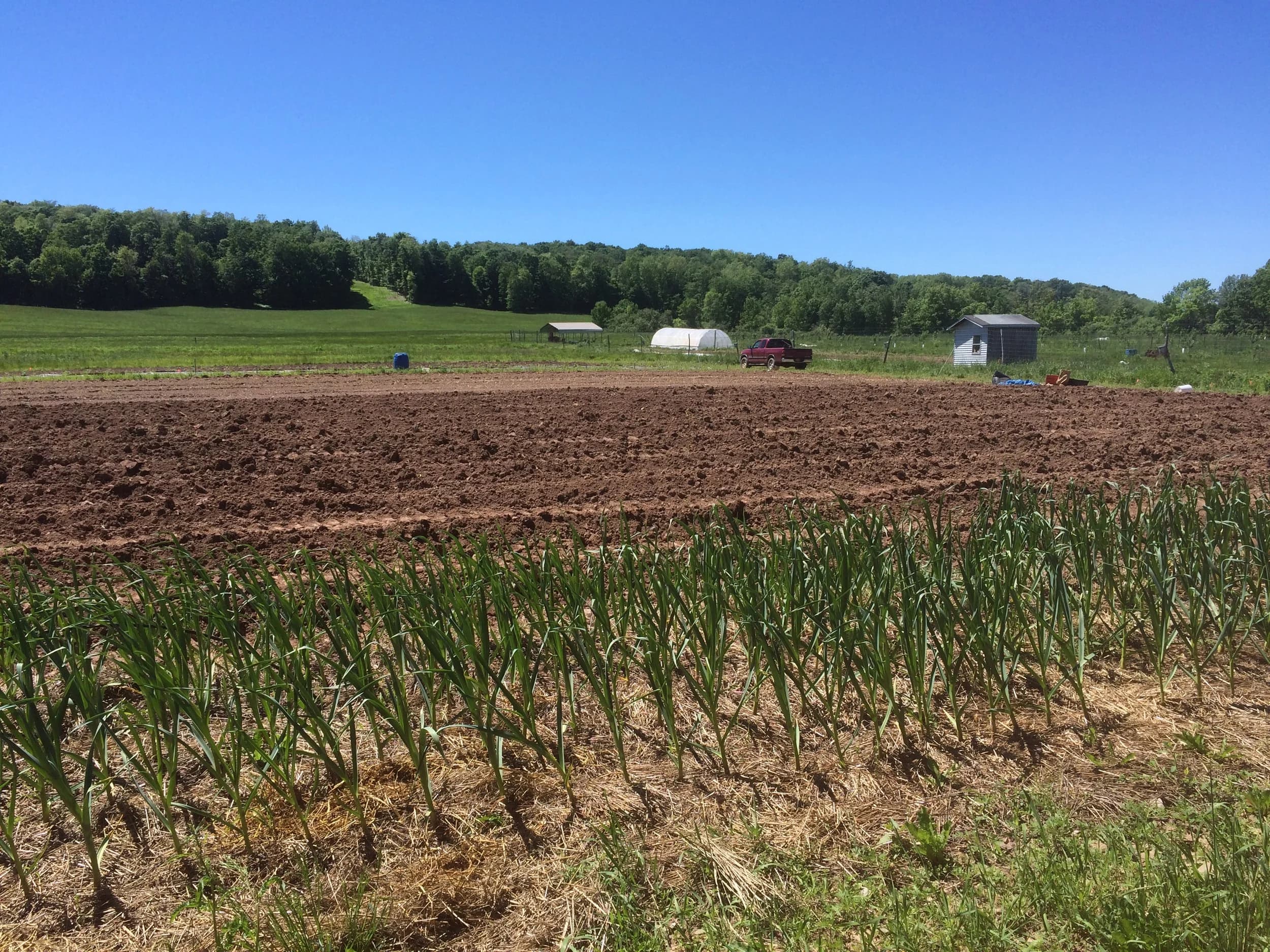 Kingfisher Farm