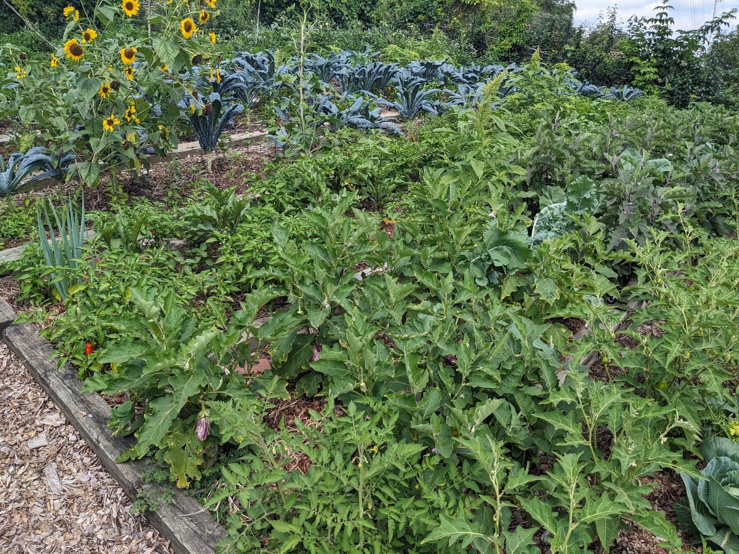 Kisheri Farms