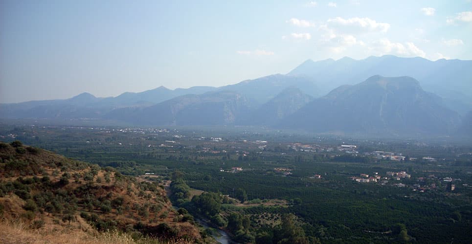 Kodinos Lakonian Olive Oil