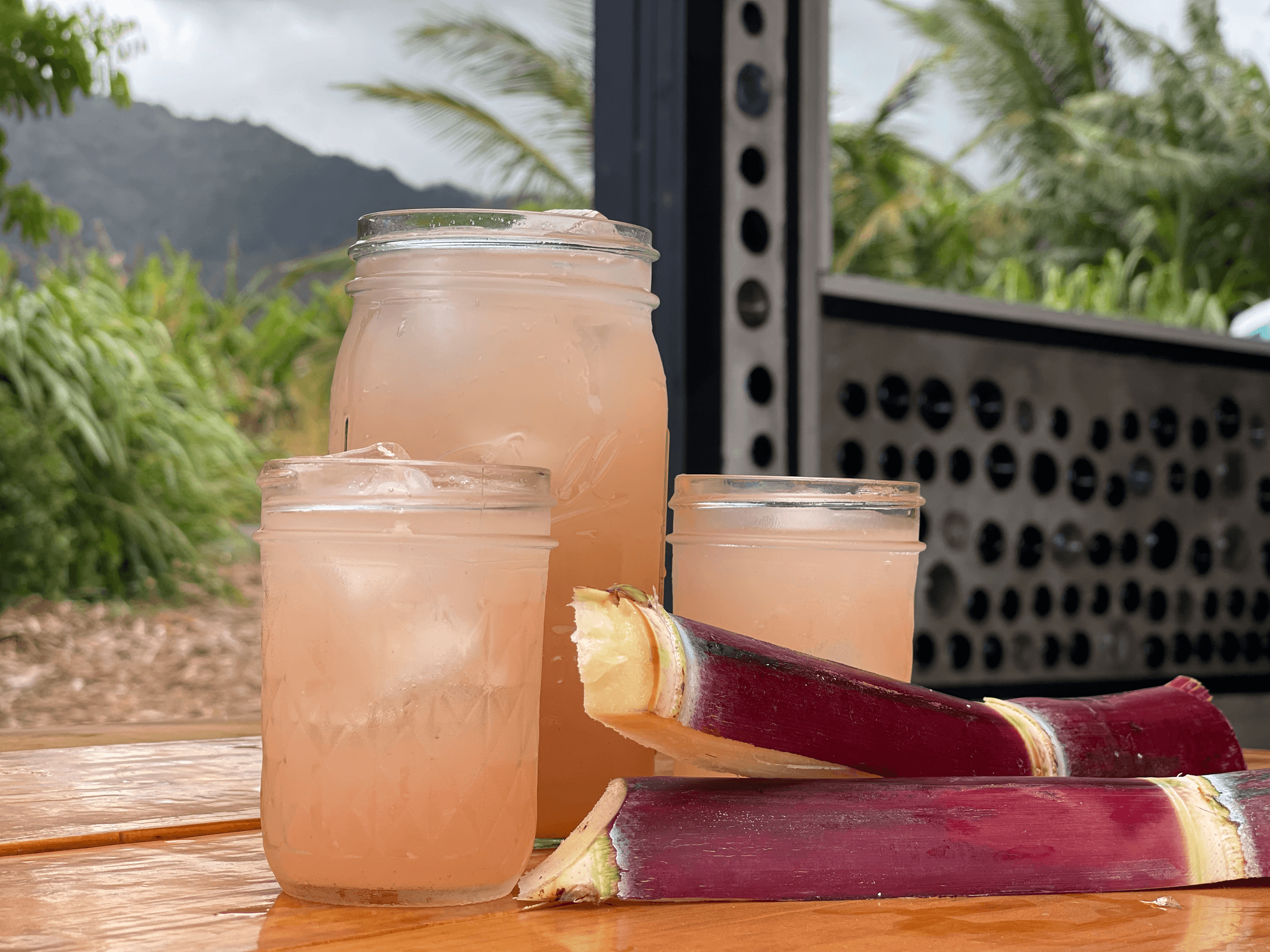 La Kahea Community Farm photo 2
