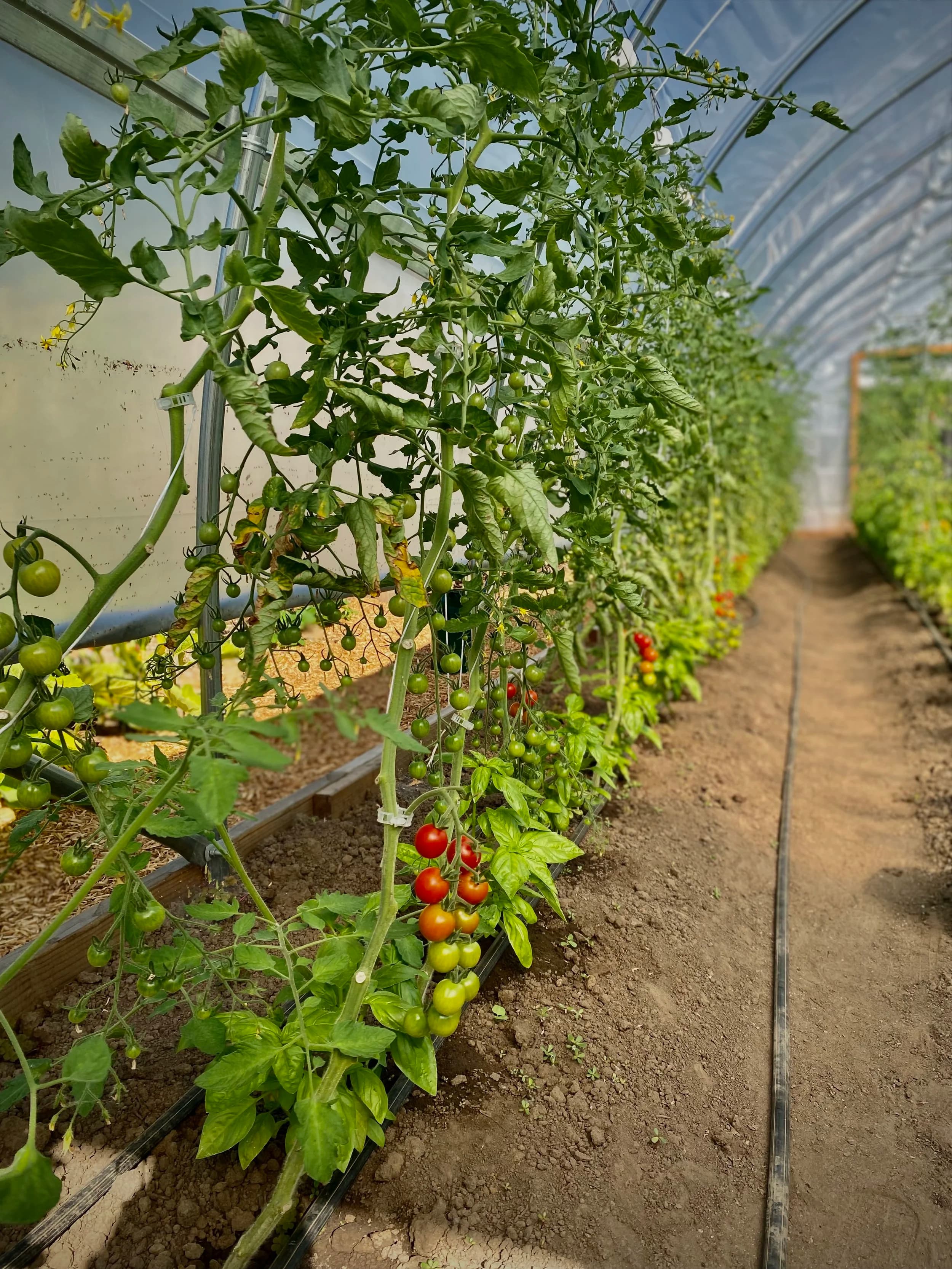 La Petite Ferme