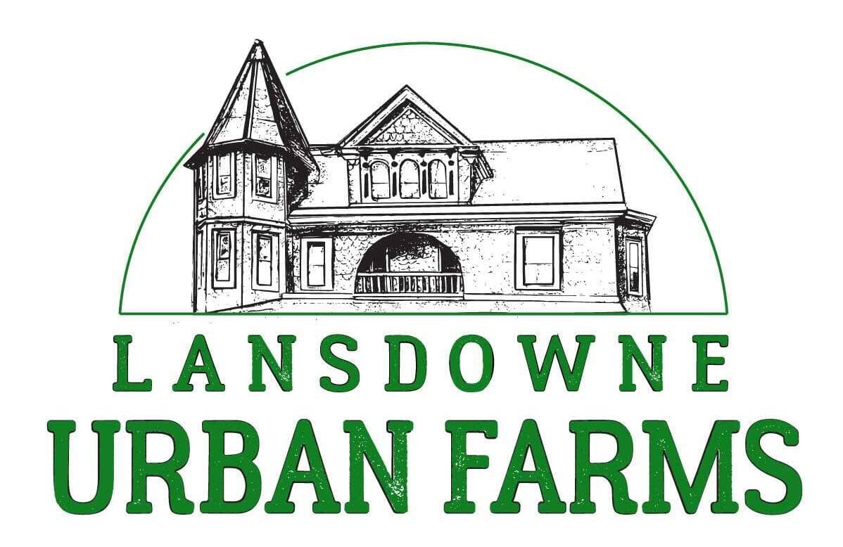Lansdowne Urban Farms photo 2