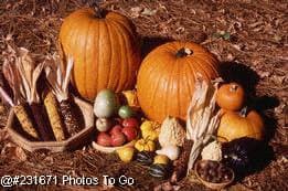 Latimore Valley Farms, Inc