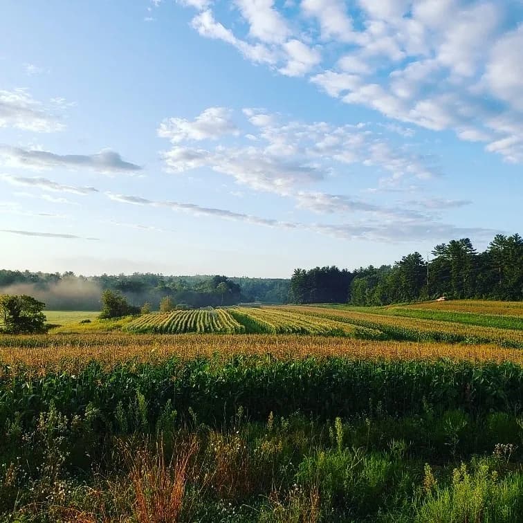 LaValley Farms photo 2