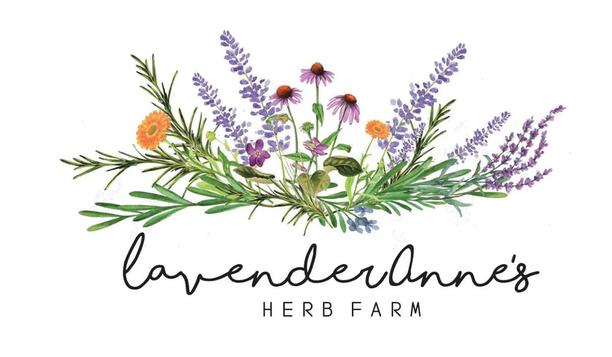 Lavender Annes Herb Farm