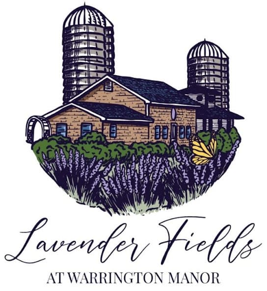 Lavender Fields photo 2