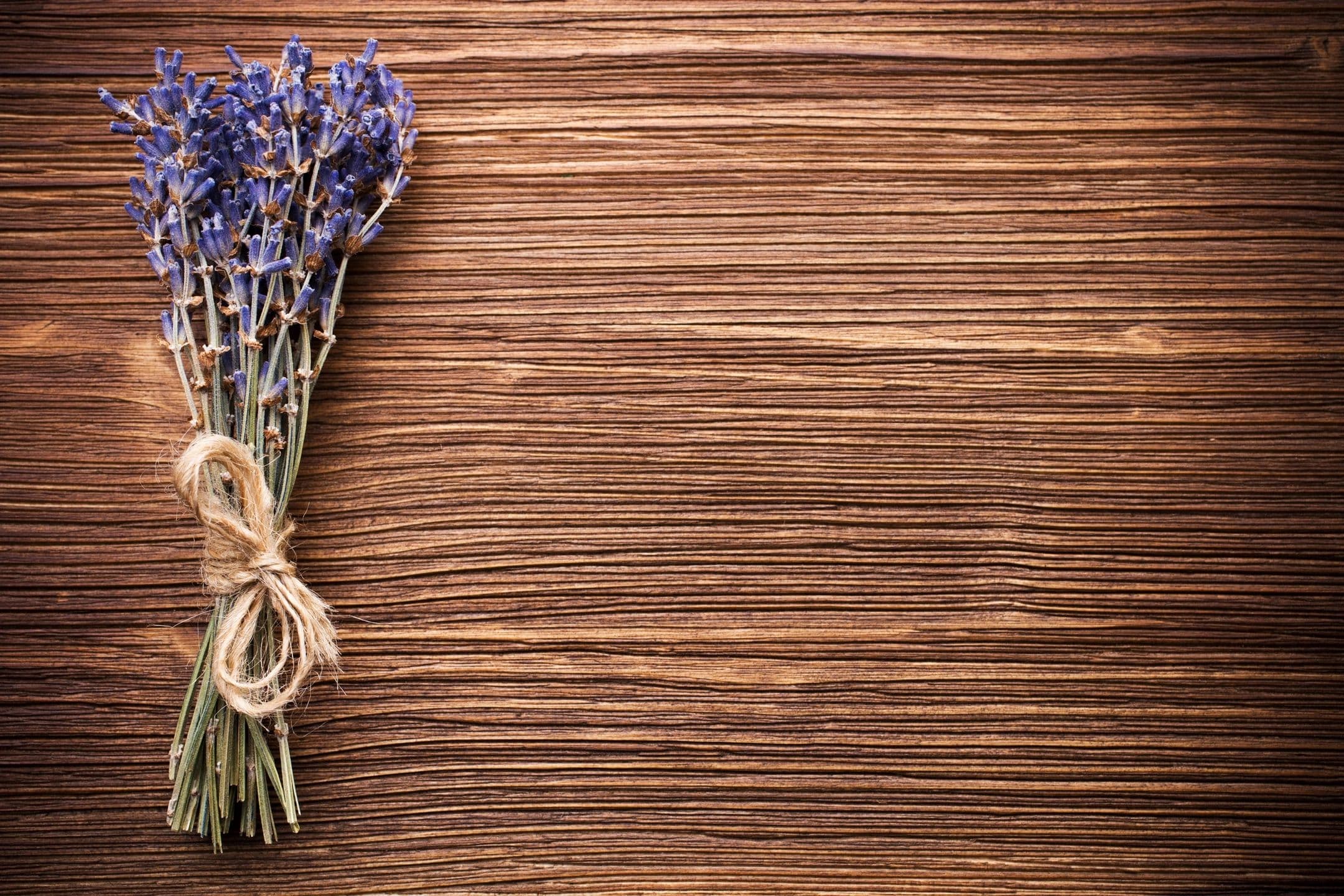 Lavender Wynde Farm photo 2