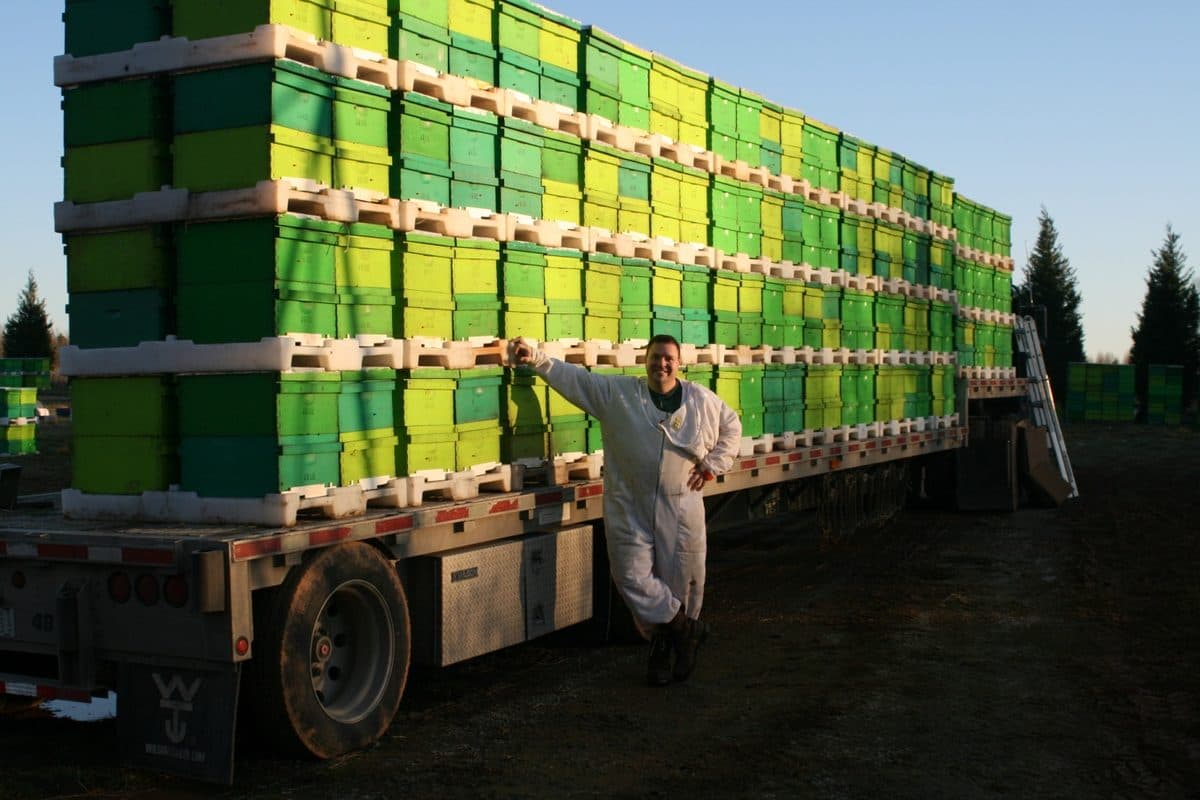 Lee's Bees Inc. photo 2