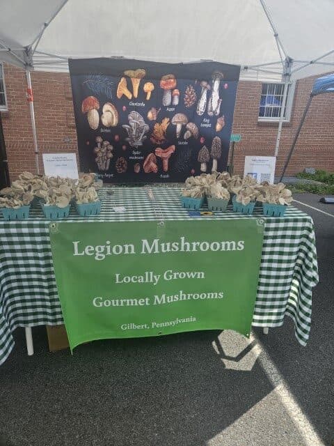 Legion Mushrooms
