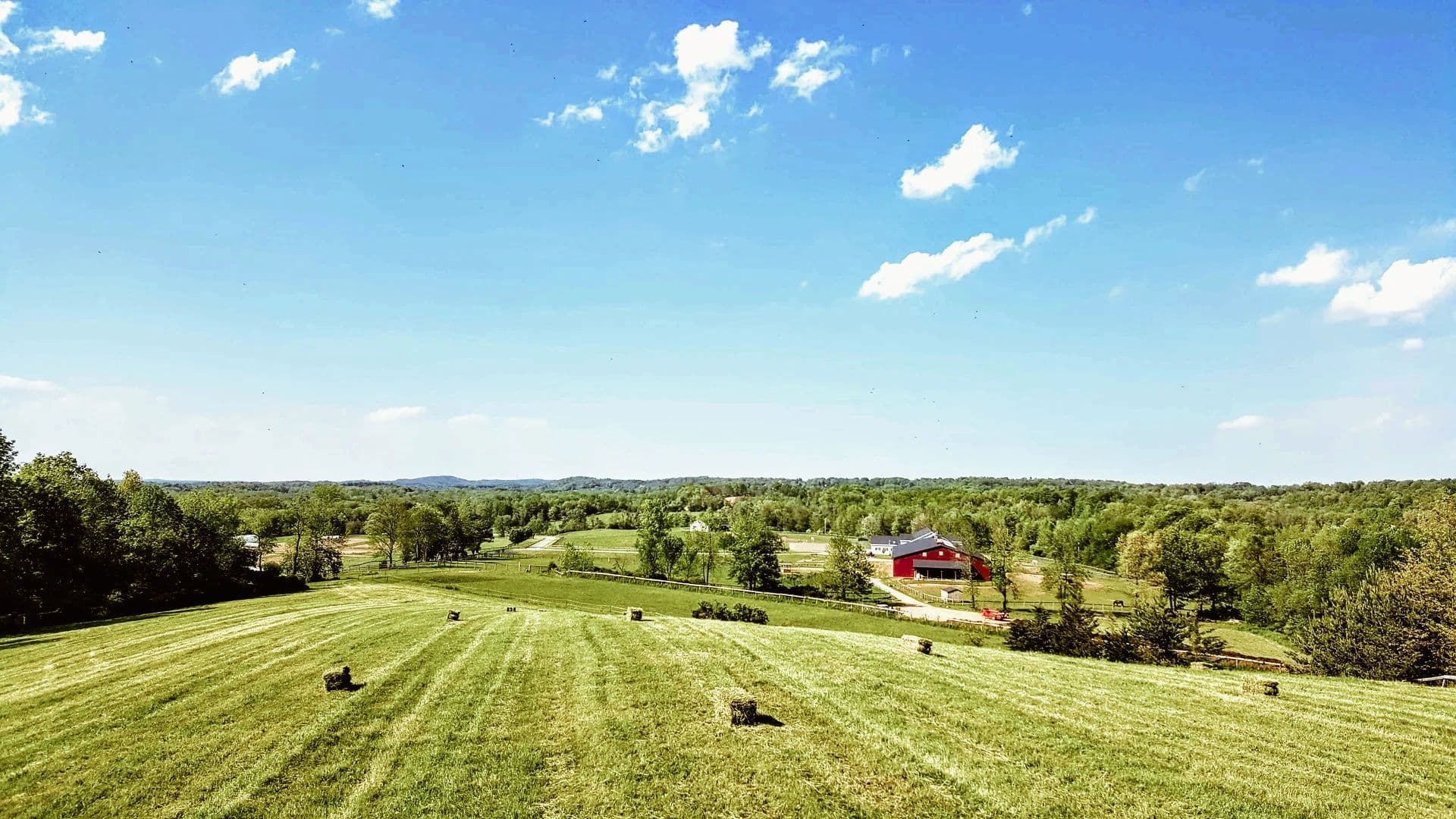 Liberty Farms photo 2