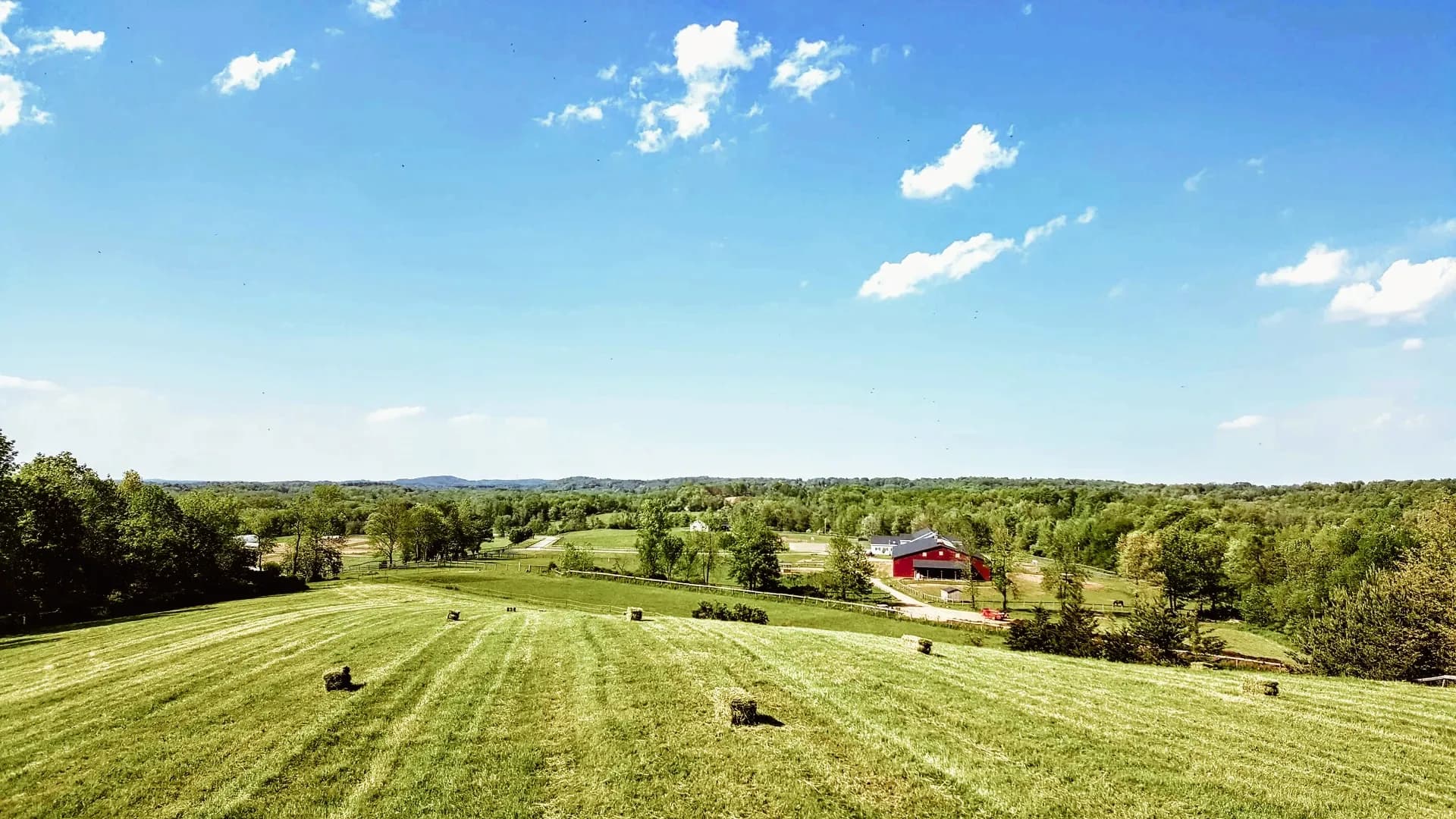 Liberty Farms Organic Farm Store photo 2