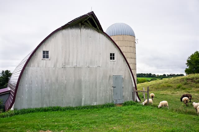 Lida Farm photo 2