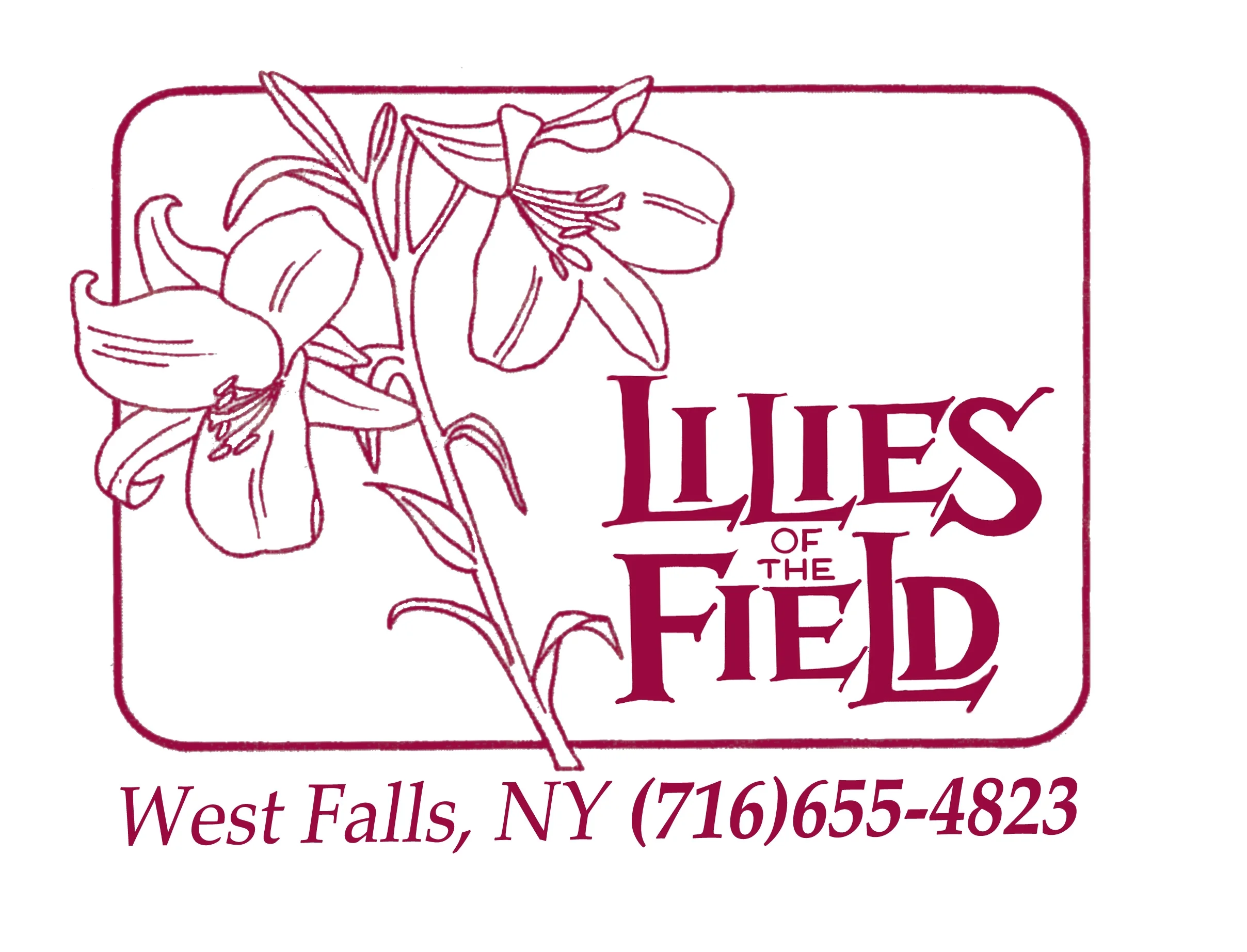 Lilies of the Field photo 2