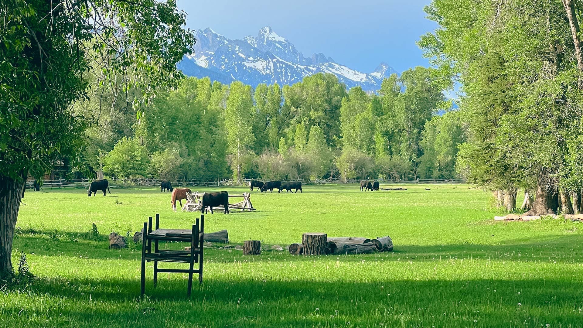 Linn Ranch Provisions
