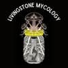 Livingstone Mycology