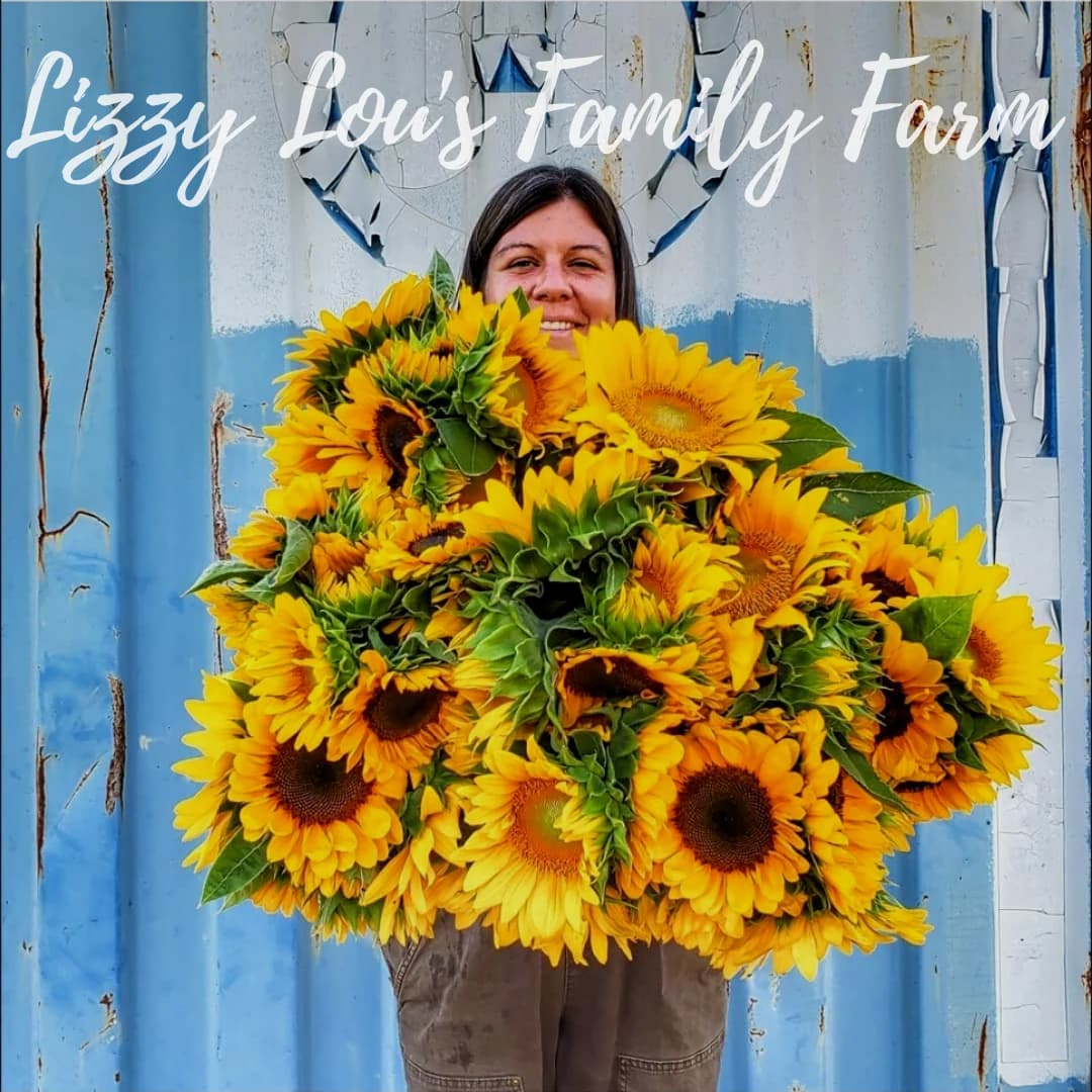 Lizzy Lou's Family Farm