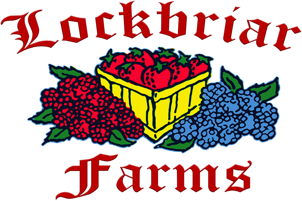 Lockbriar Farms photo 2