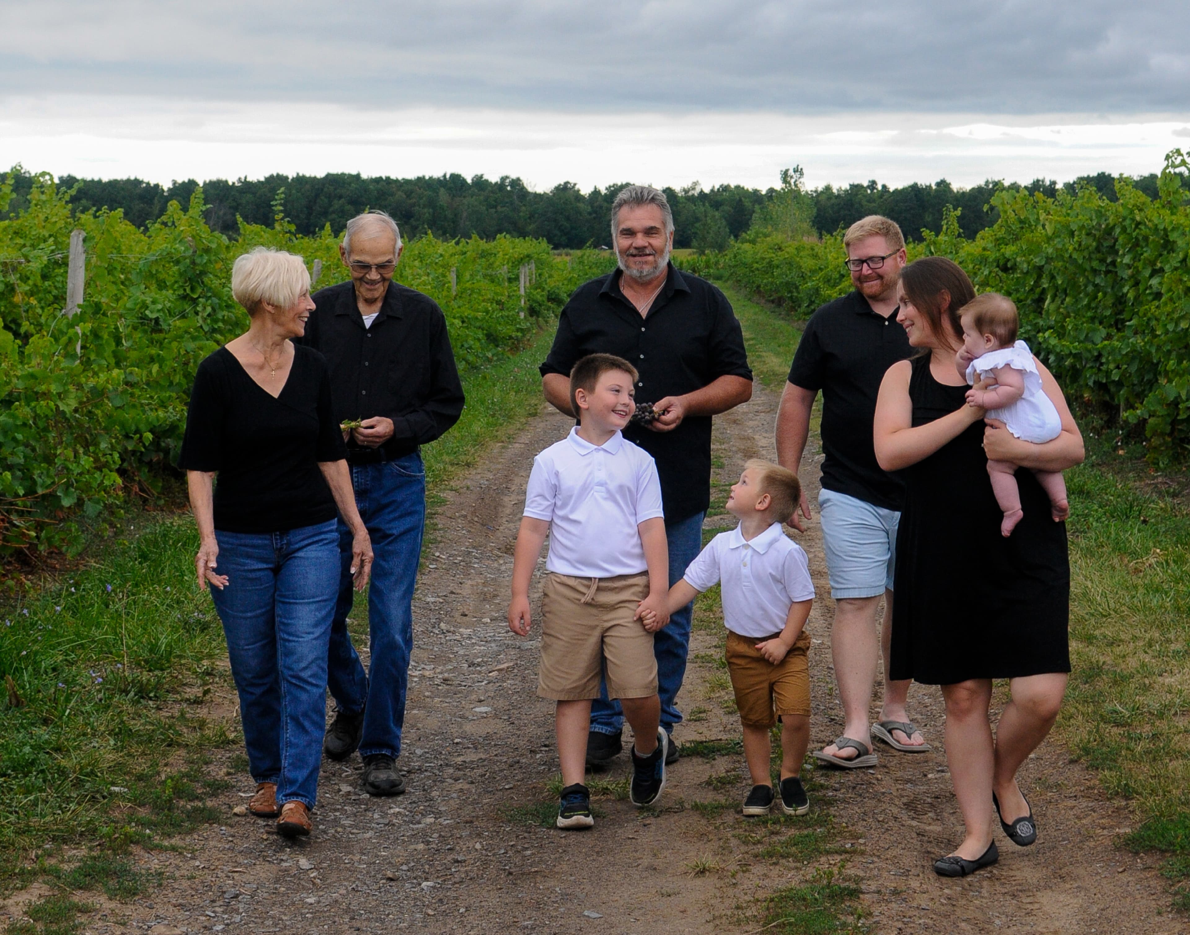 Long Cliff Vineyard & Winery photo 2