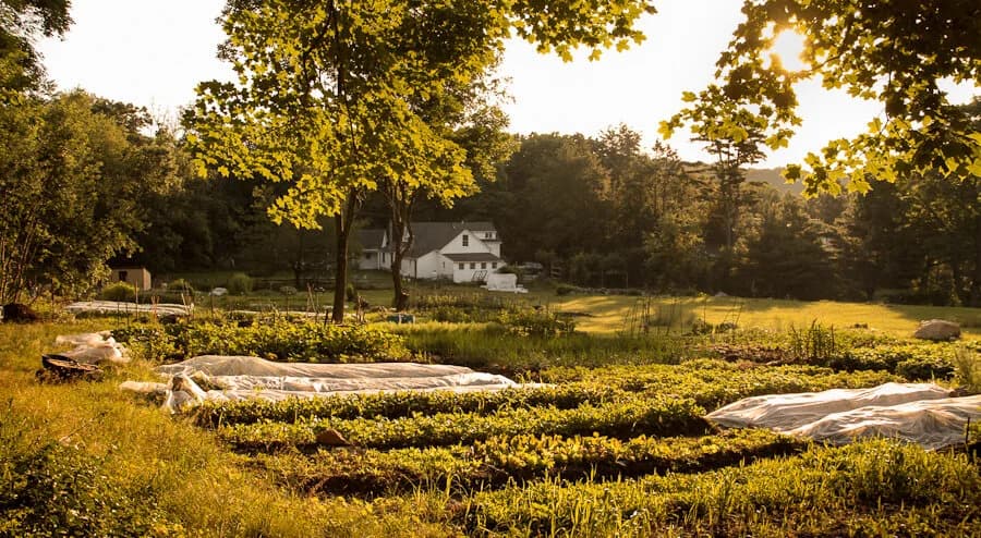 Longhaul Farm