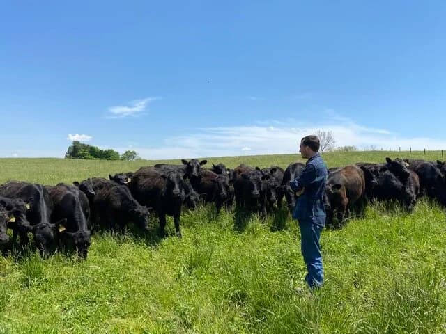 Lovell Grass Fed Cattle Company