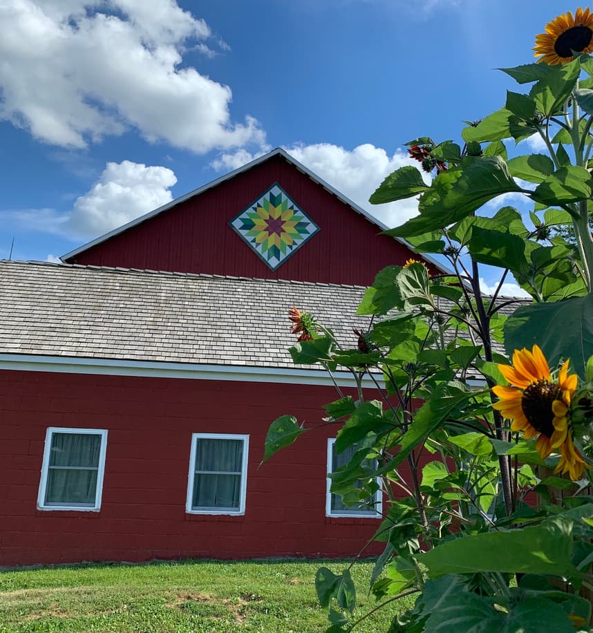 Lucky Star Farm