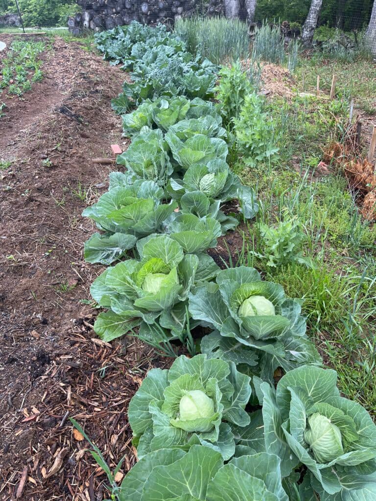 Luddite Farmer