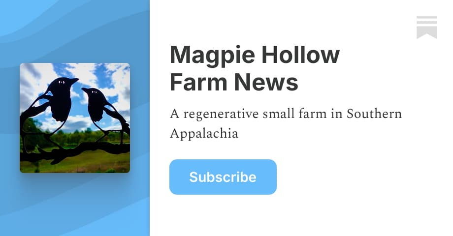 Magpie Hollow Farm