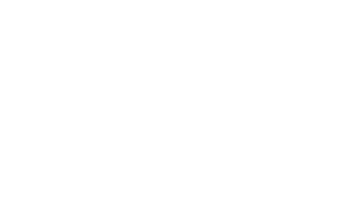 MAIZ photo 2