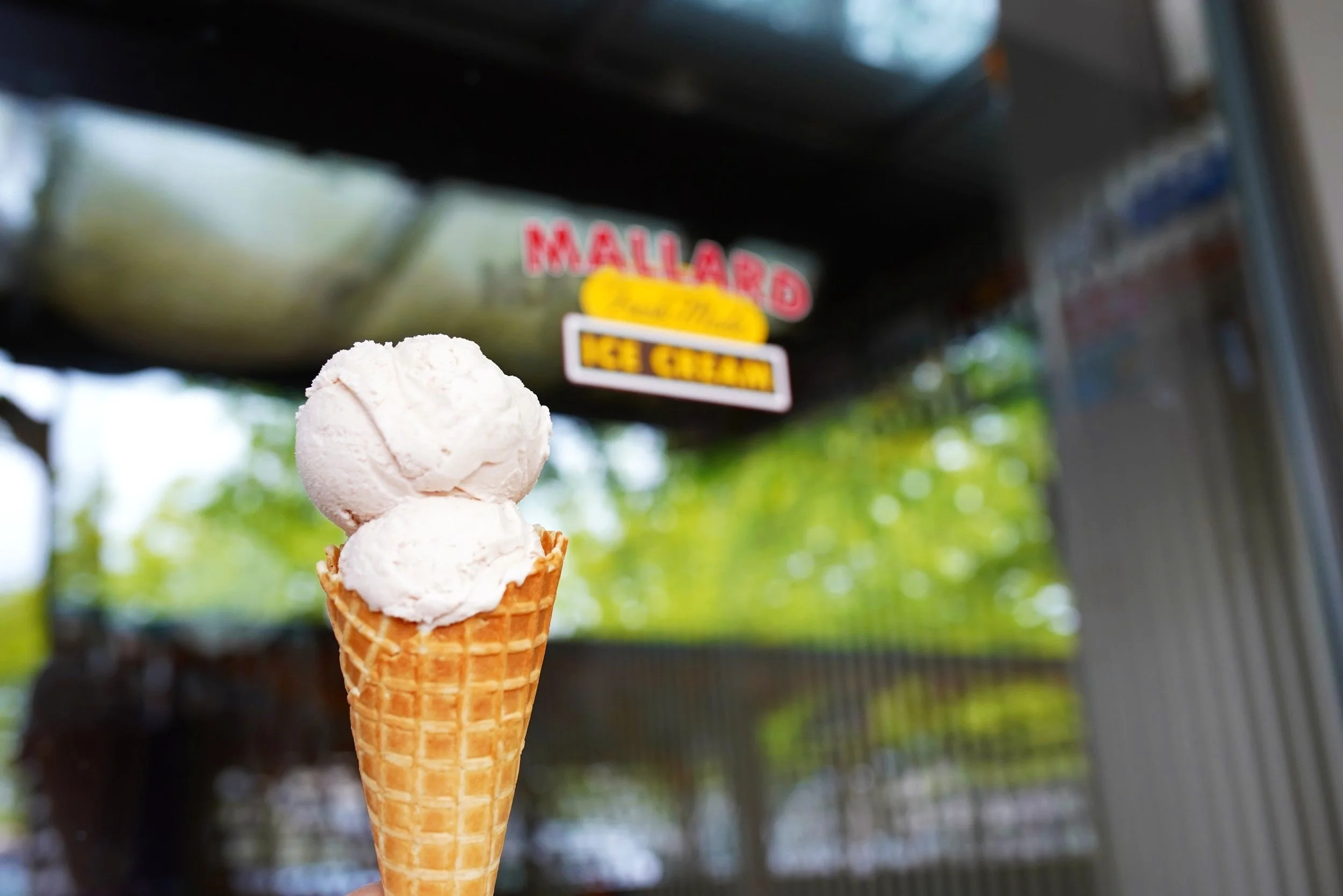 Mallard Ice Cream