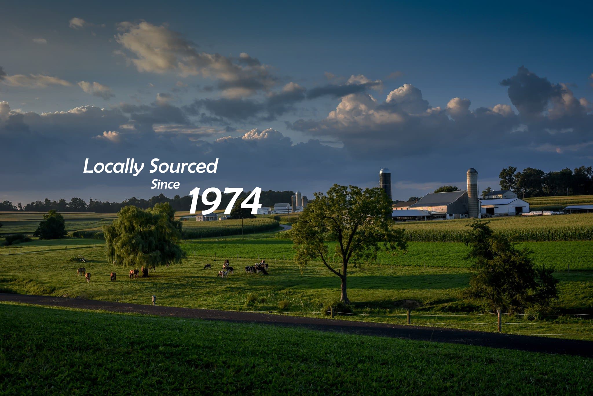 Maplehofe Dairy