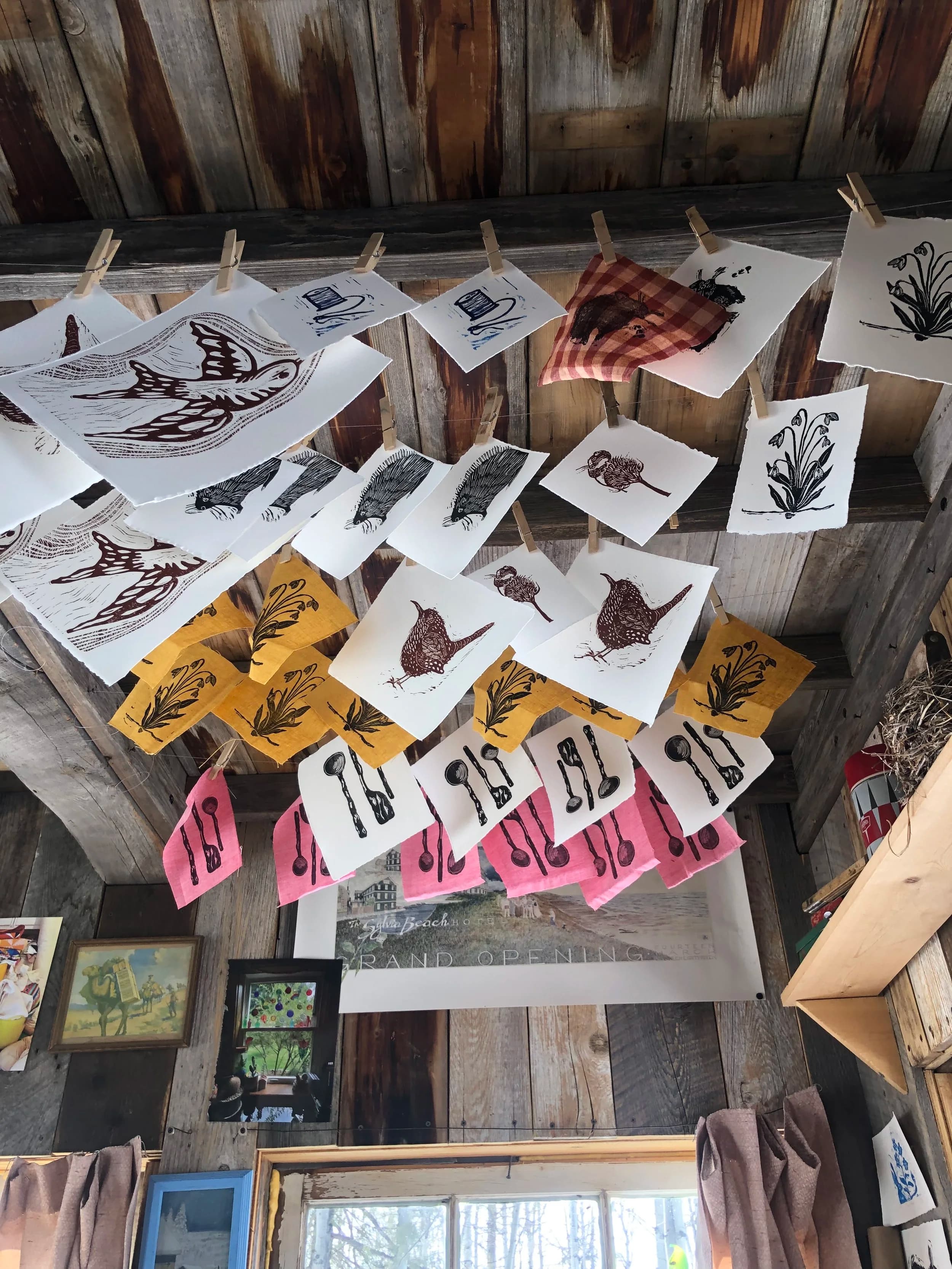 Marmot Press