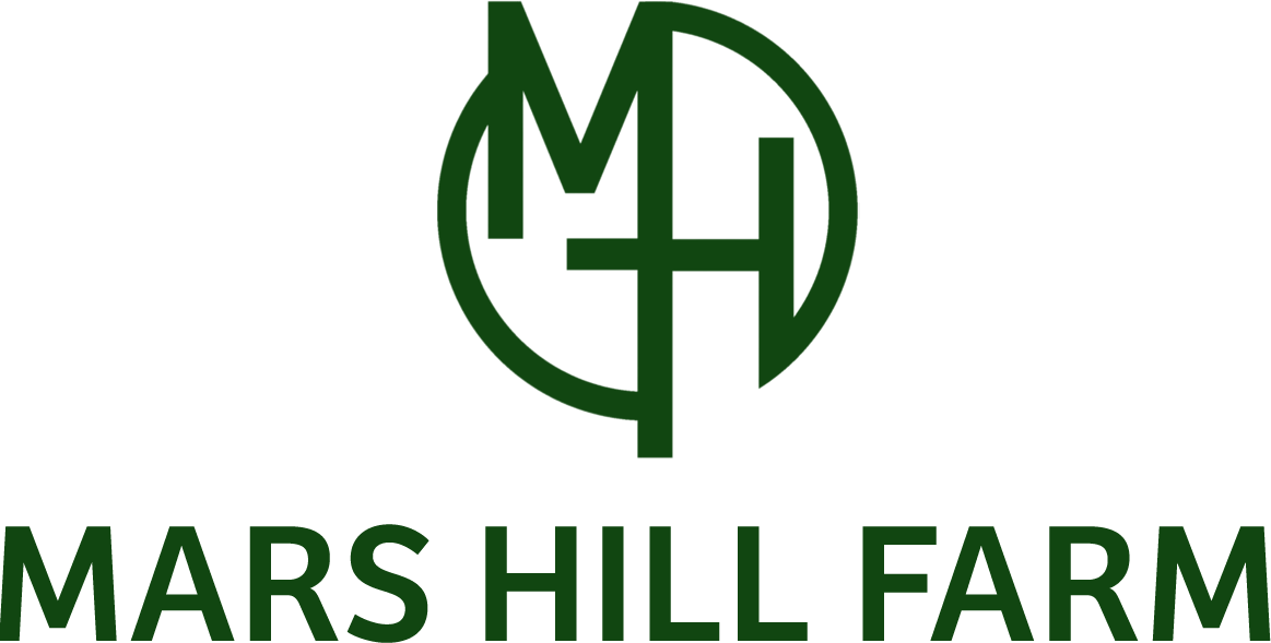 Mars Hill Farm photo 2