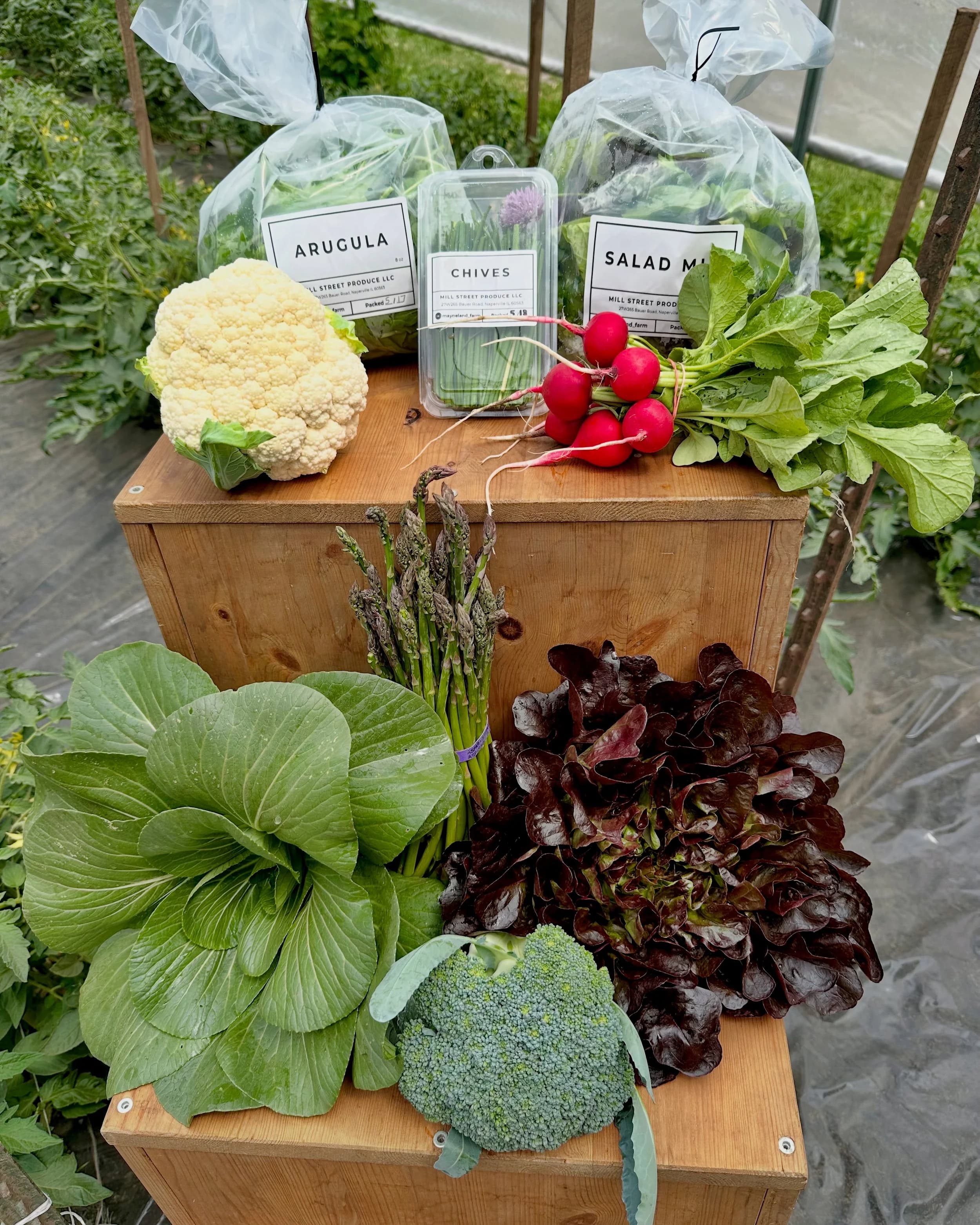 Mayneland Farm